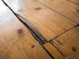 Hard Floor Cleaning