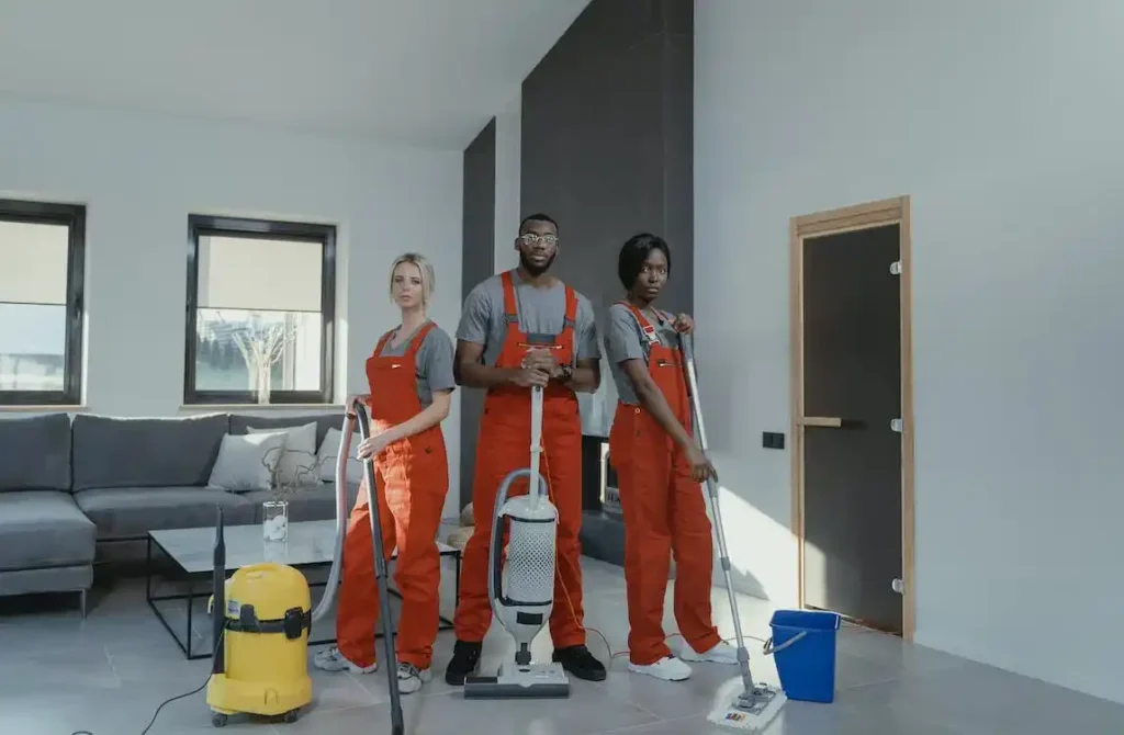 Regualr Vacuuming Services