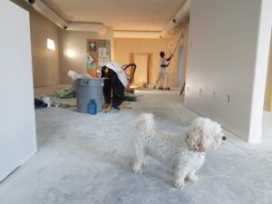 Post Construction Deep Cleaning: