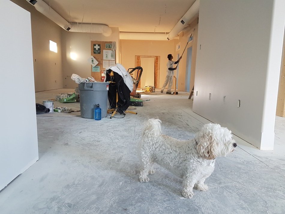 Post Construction Deep Cleaning: